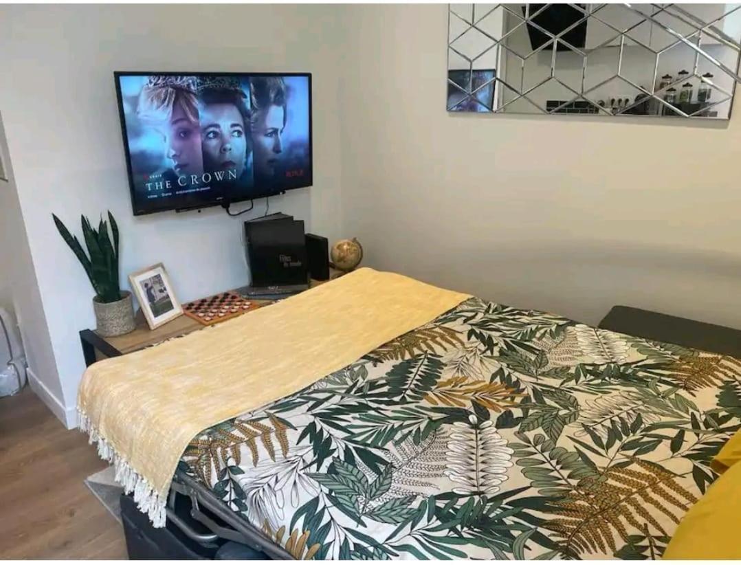 Апартаменты Le Petit Poitevin -Hyper Centre - Wi-Fi- Netflix Gratuit Ньор Экстерьер фото